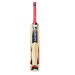 GM Purist Striker Kashmir Willow Cricket Bat